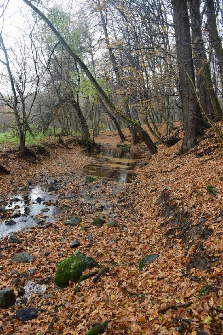 A Zsunyi-patak vadregényes völgye 2