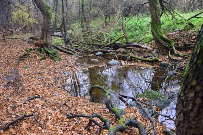 A Zsunyi-patak vadregényes völgye 3