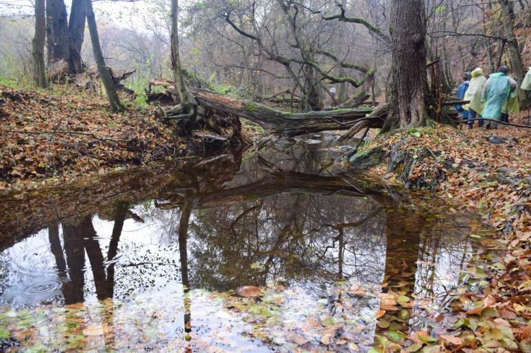 A Zsunyi-patak vadregényes völgye 4