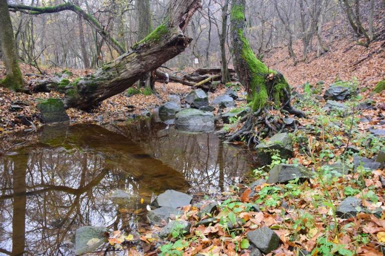 A Zsunyi-patak vadregényes völgye 5