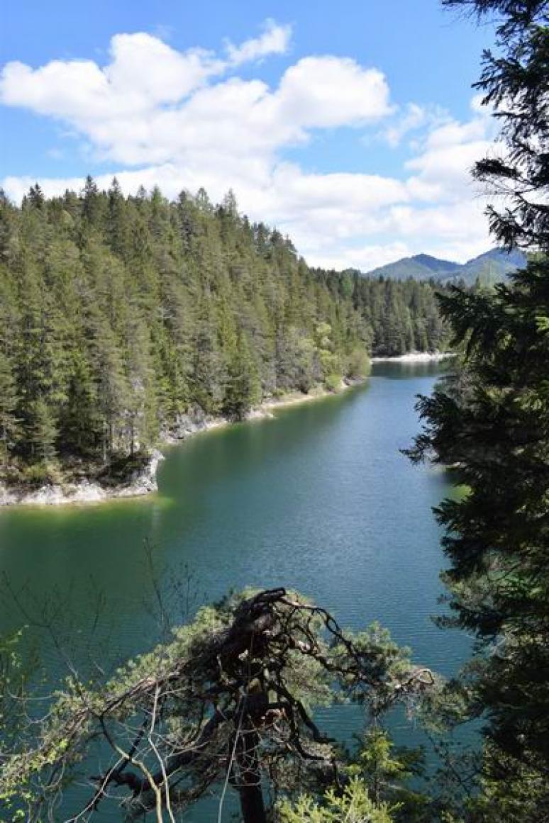 Erlaufstausee