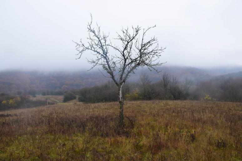 Ahol elhagytuk a patakvölgyet