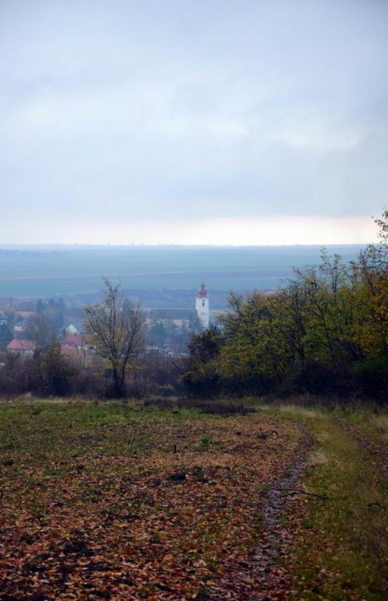 Közeledünk Ecseghez