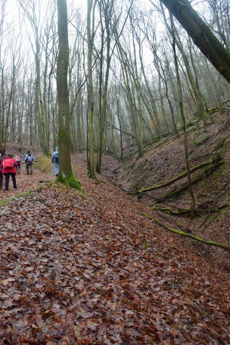 Hatló-patak völgye