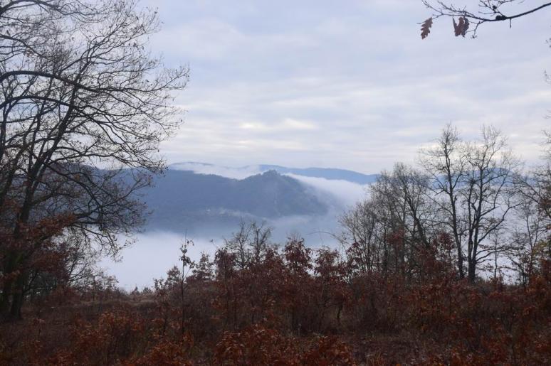 Misztikus táj a Fellegvárral