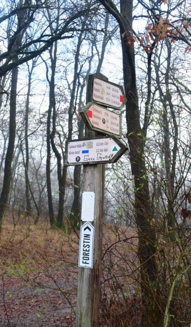 Itt jött be a rövidebb túra