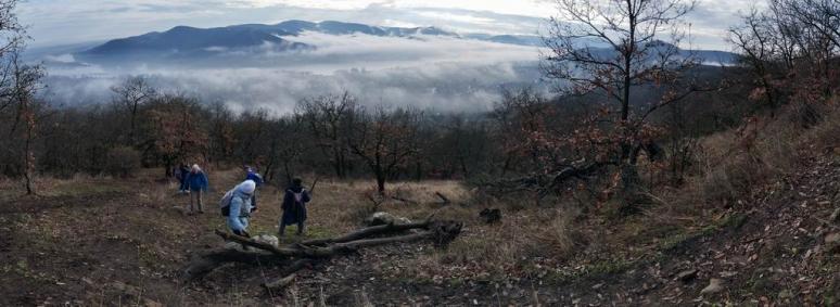 Szentendrei-sziget végétől a Hegyes-tetőig