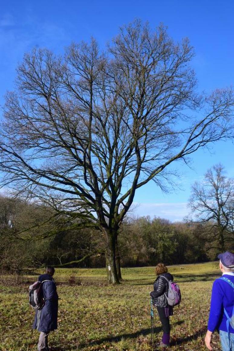 Köves-mezőre érve