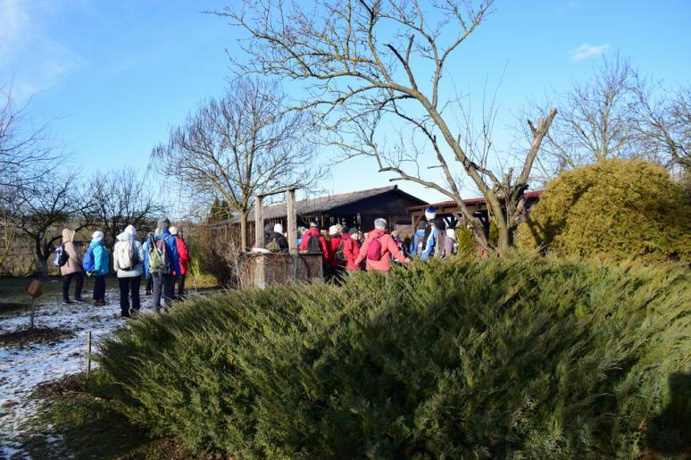 Kné Marika portája