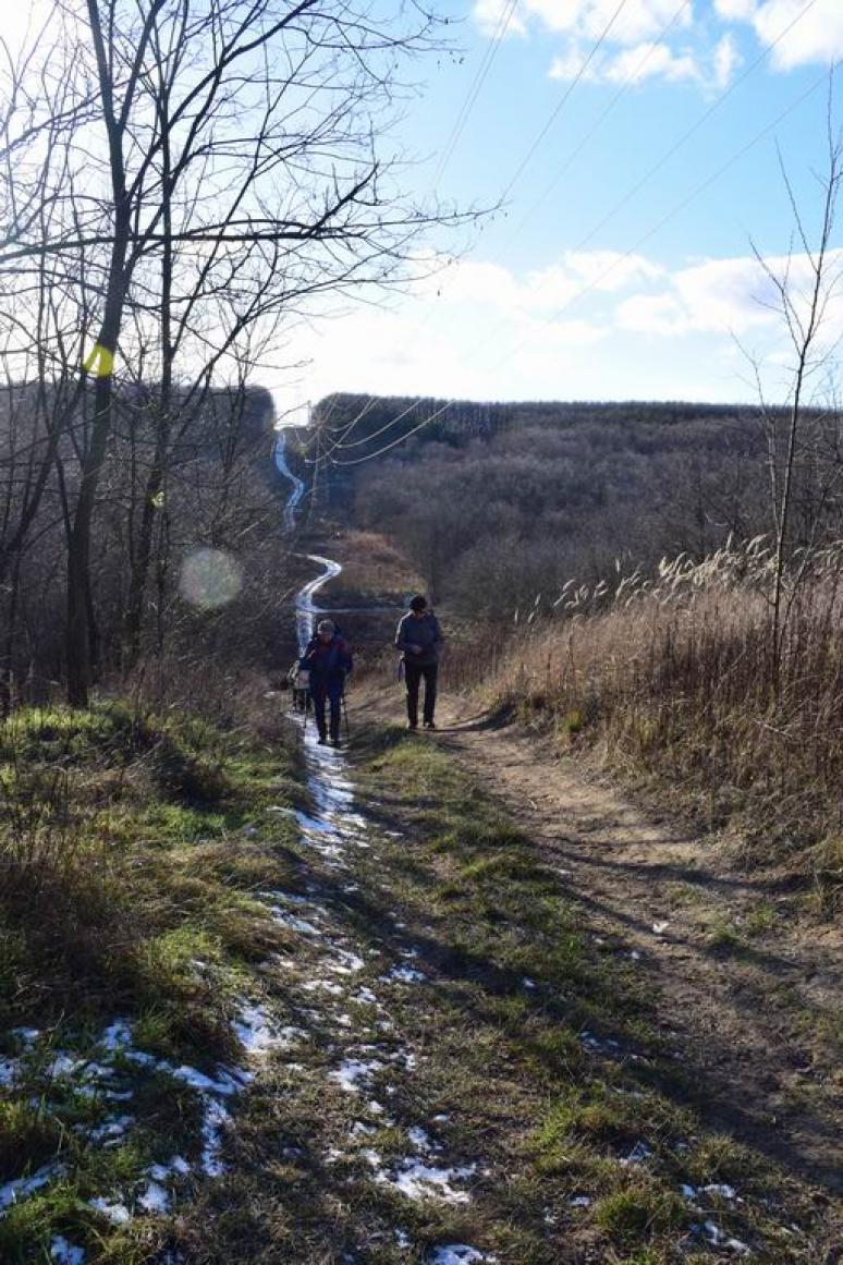 Kanyargós út a magasfeszültség alatt