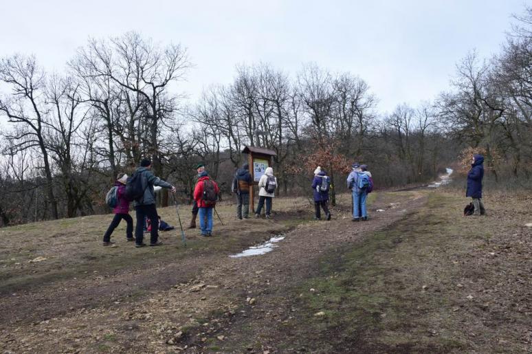 Kopasz-hegyi elágazás