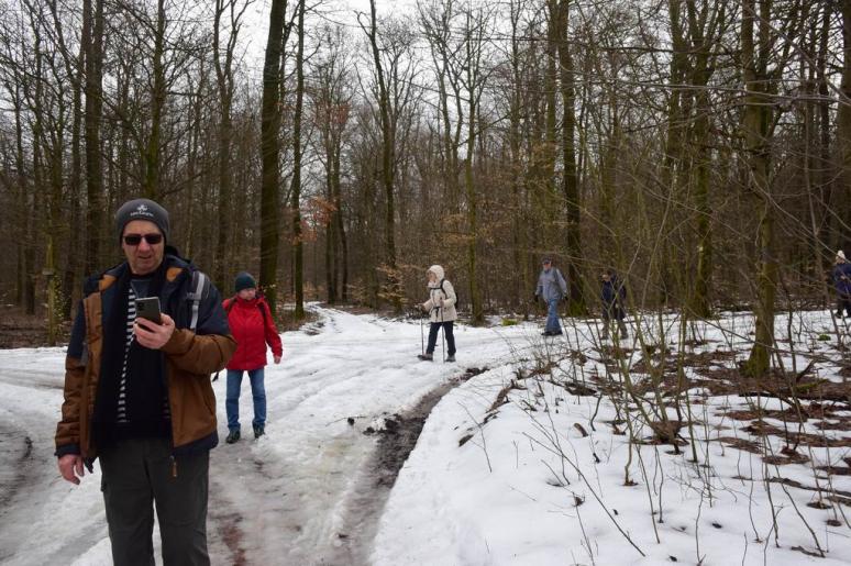 Havas kereszteződés