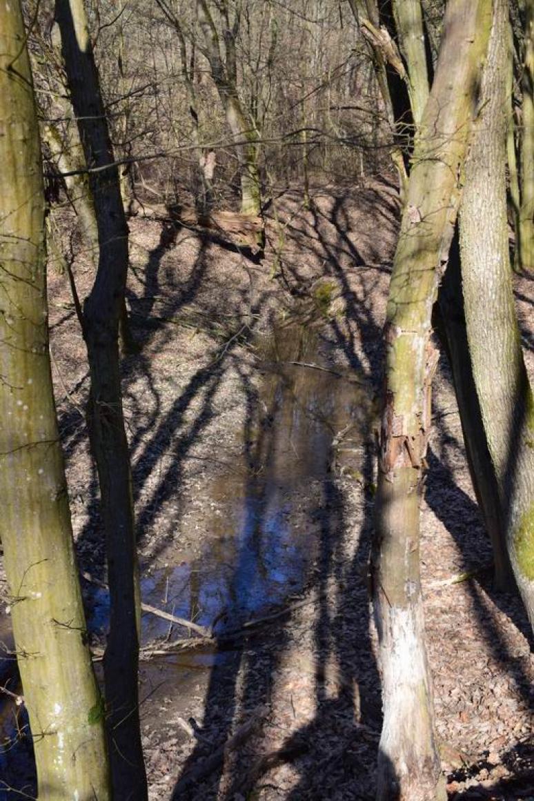 A Misa-réti-árok mentén 2