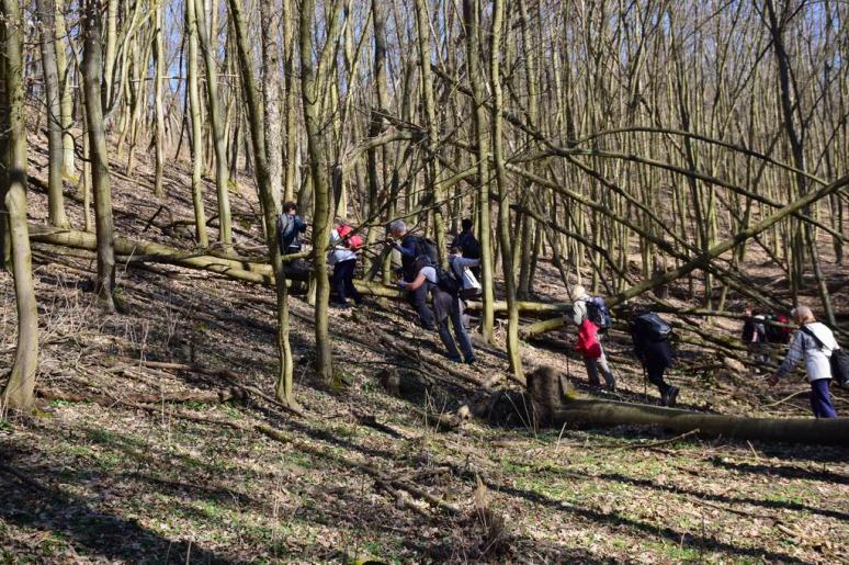 A Misa-réti-árok mentén 3