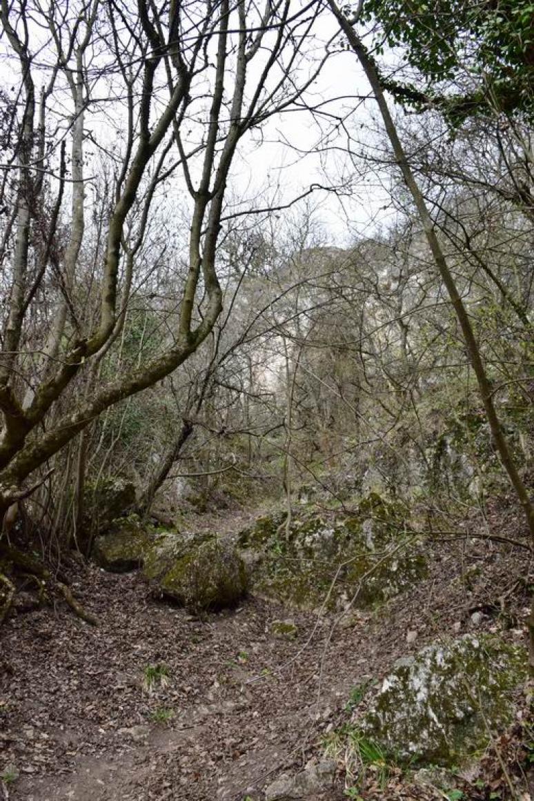 A bokrok mögött a Remete-hegyi-kőfülke bejárata