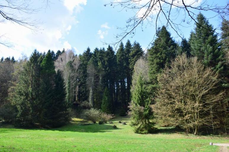 Budafapusztai arborétum