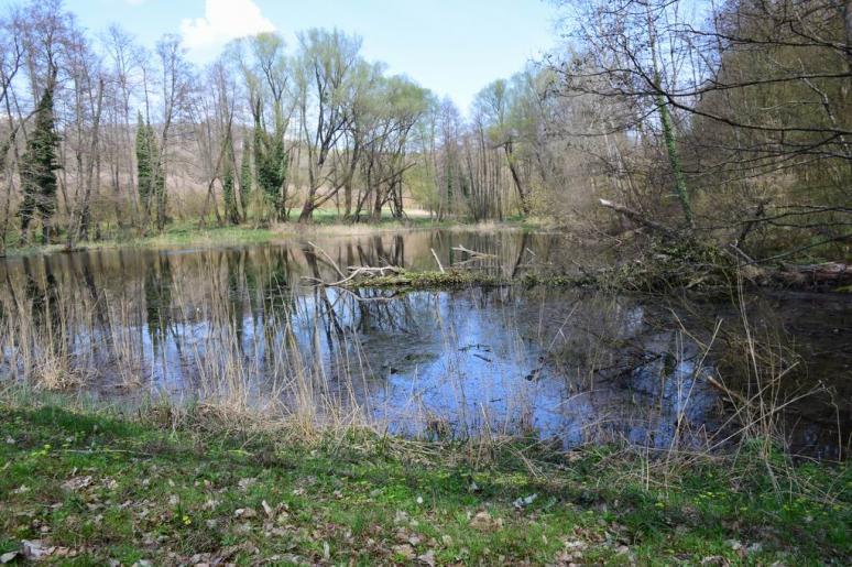 Budafapusztai vaditató