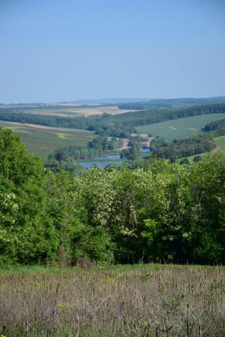 Gerézdpuszta a Kócos-hegyről