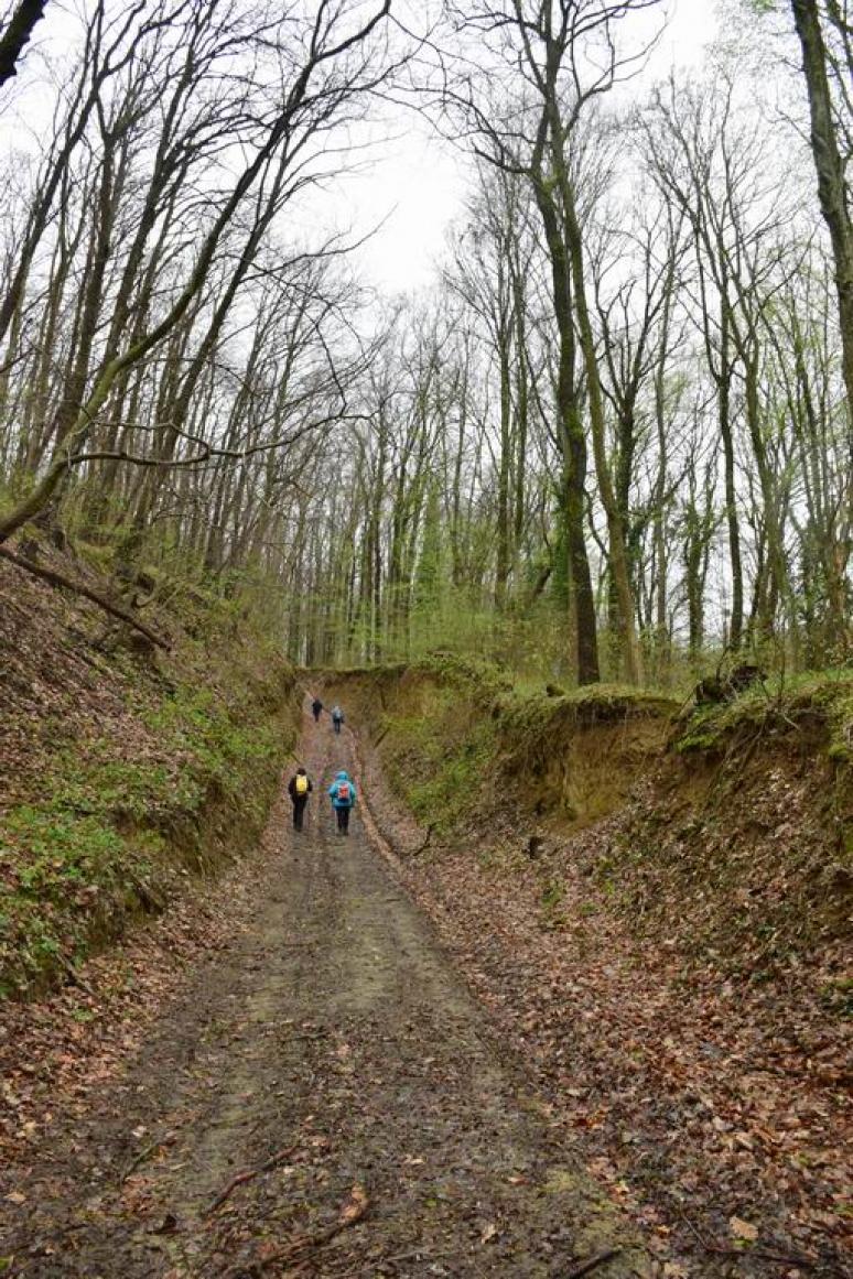 Mélyút a DDK felé