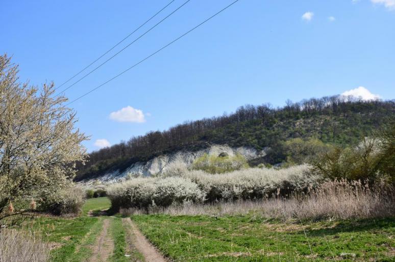 Majhász-völgyi riolittufa