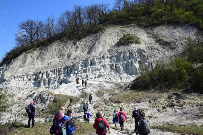 Majhász-völgyi riolittufa közelebbről