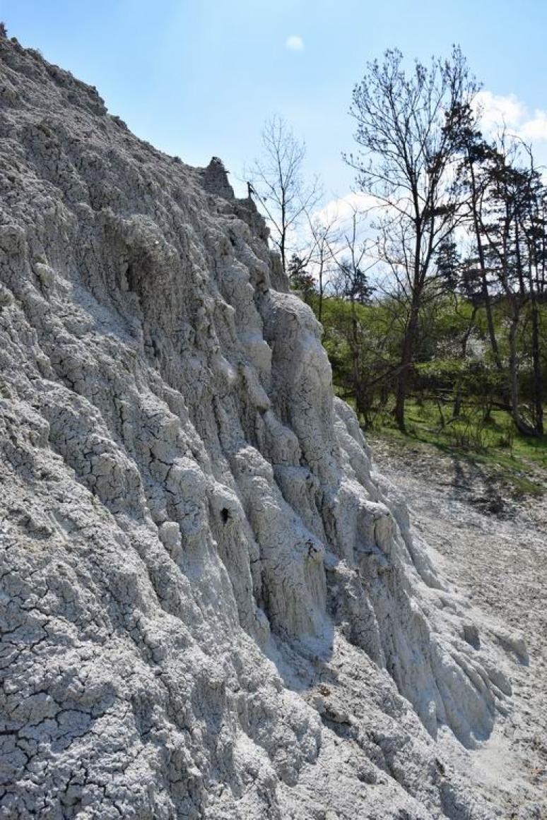 Gyulaaknai riolitttufa közelebbről