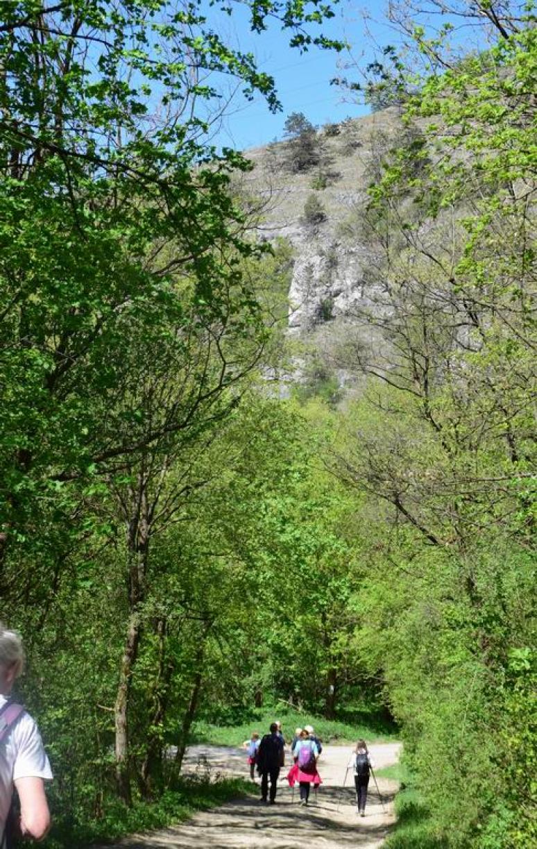 Kalica-tető