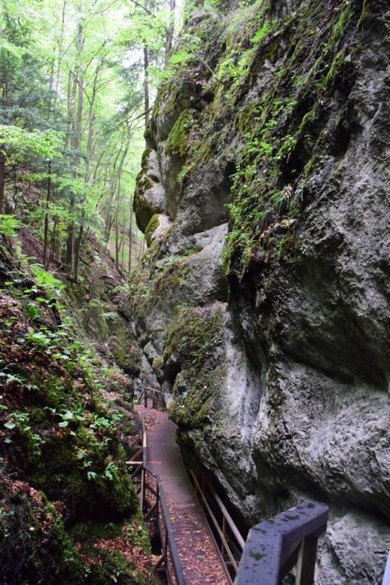 Steinwandklamm