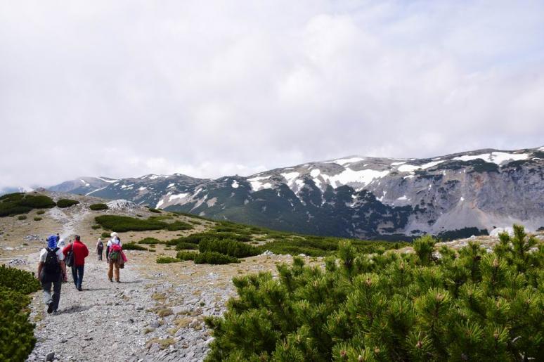 Raxalpe 3