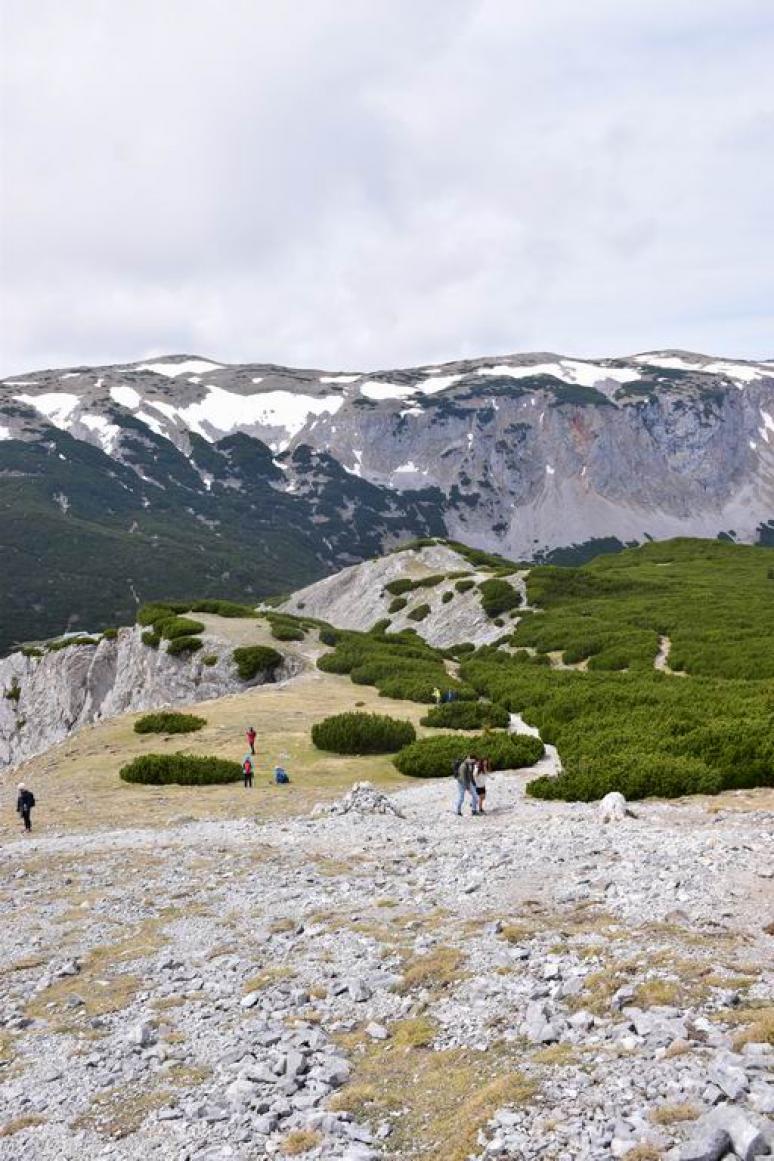 Raxalpe 5
