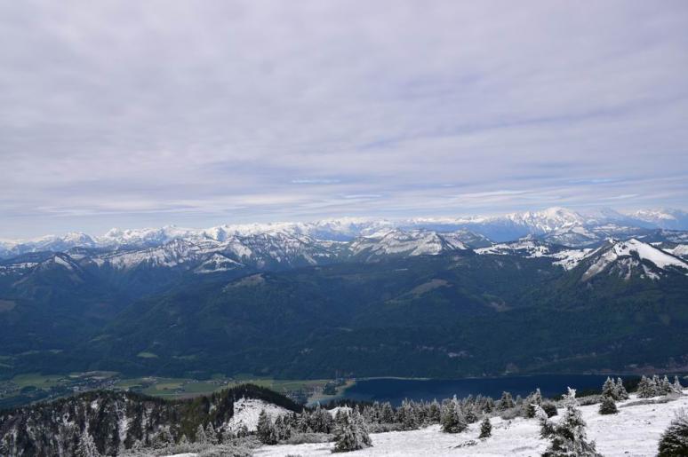 Schafberg 1