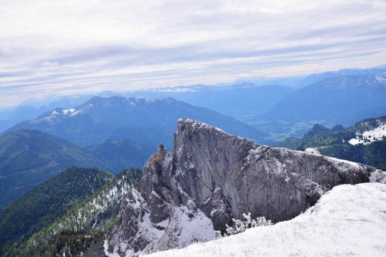 Schafberg 2