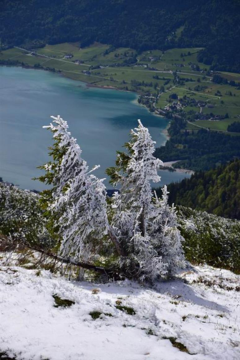 Schafberg 5