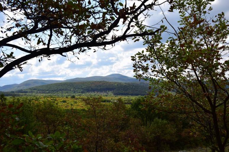 Középen a Borsó-hegy