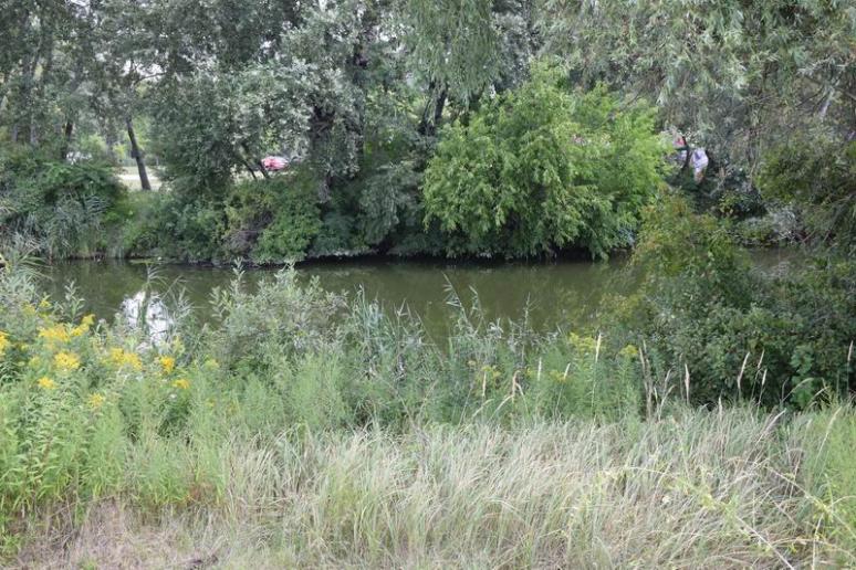 Holtág Szigetcsépen