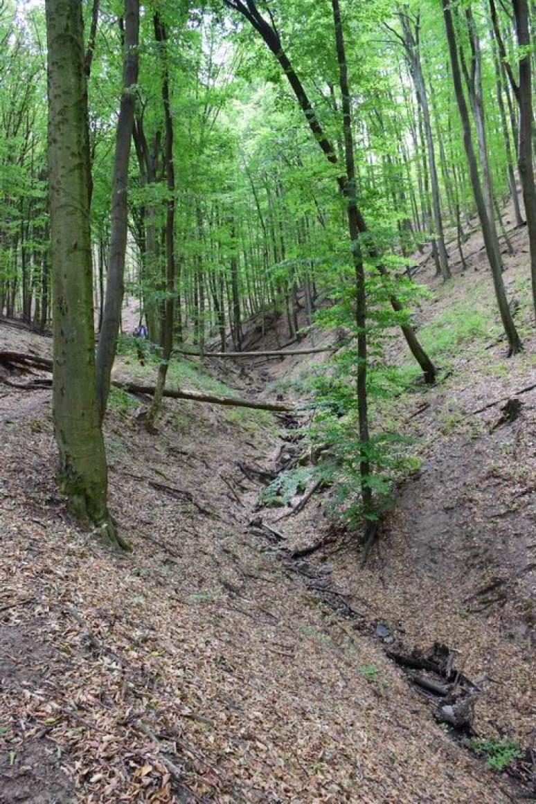 Kereszt-völgyi-patak