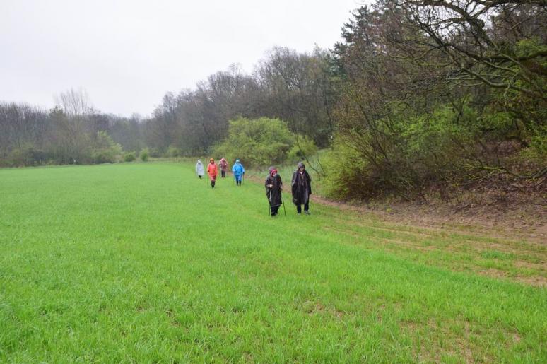 Ahol még a turistautat is beszántották