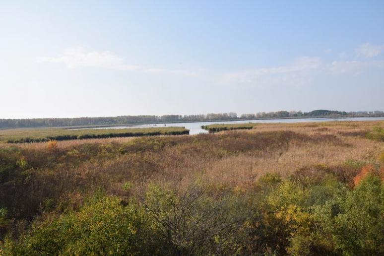 Biharugrai-halastó a madárvártáról