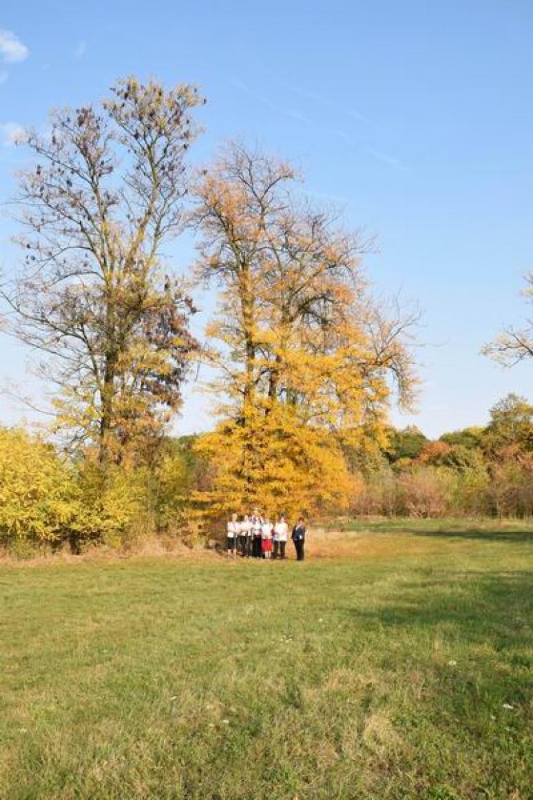 Geszt, Tisza-kastély parkja