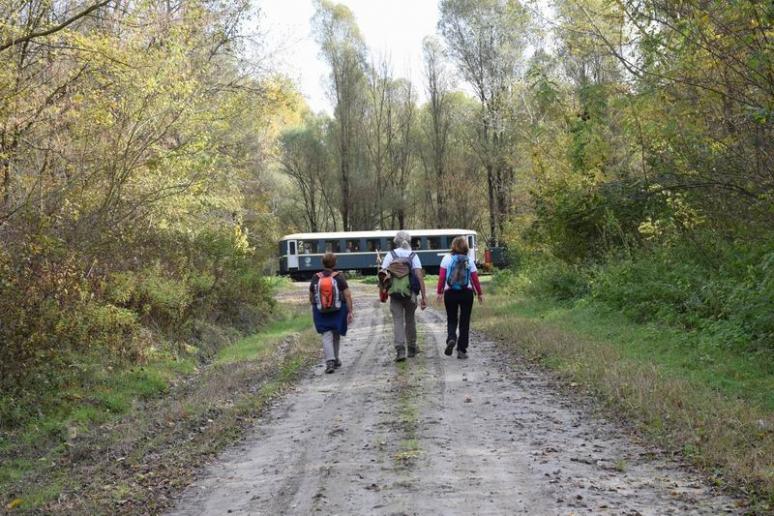 Gemenci kisvasút Lassinál