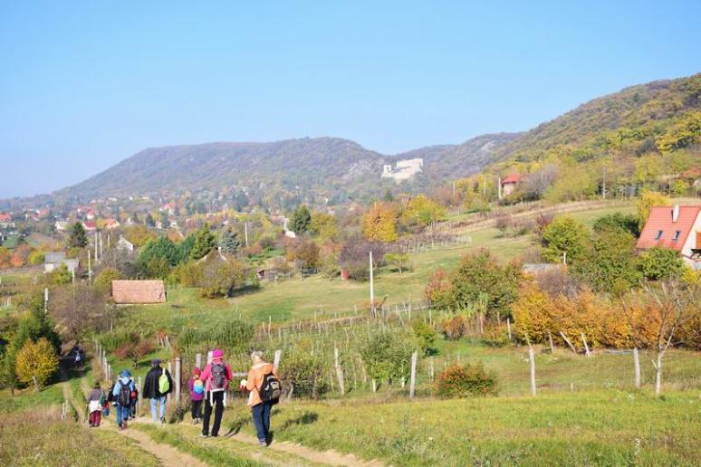 Csókakő határában
