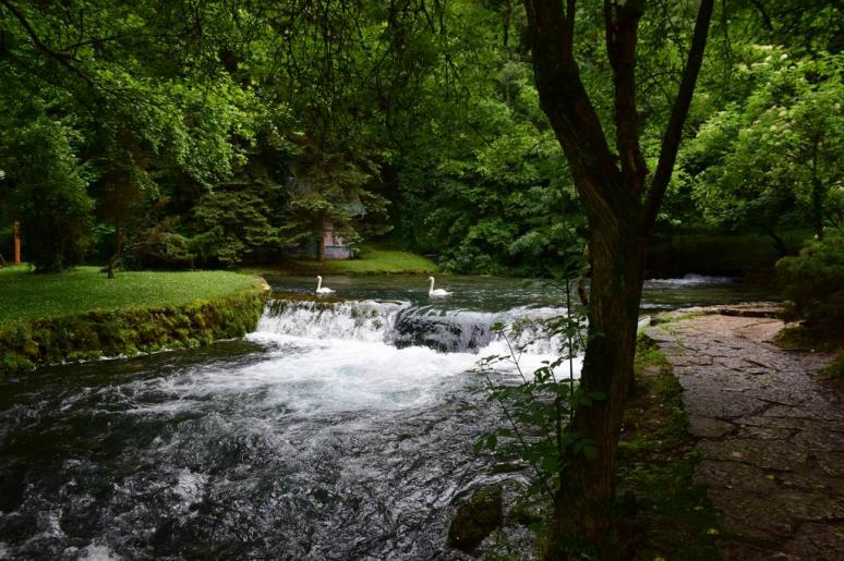 Vrelo Bosne