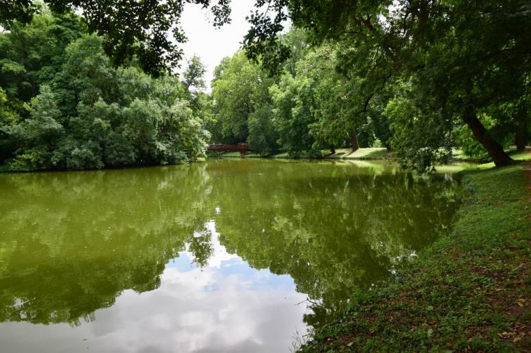 A szigetre vezető fahíd