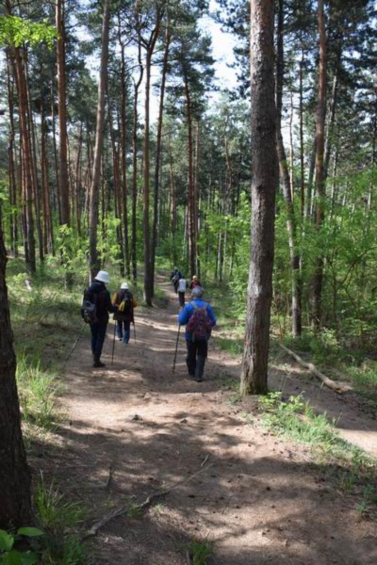 Természetvédelmi területen