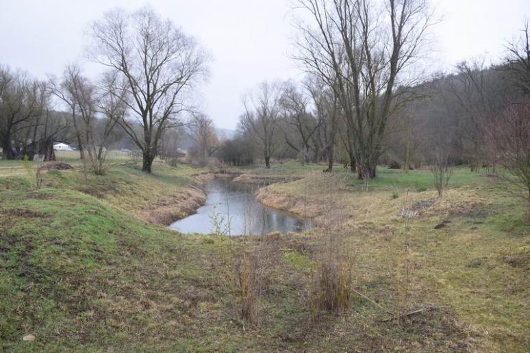 A vácdukai Vadasparknál