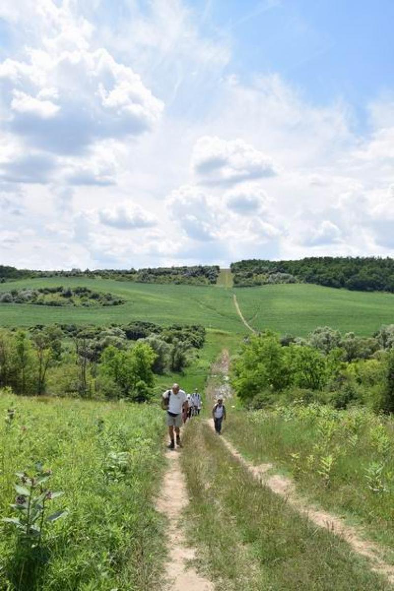 Kapaszkodó a Tályog-hegyre