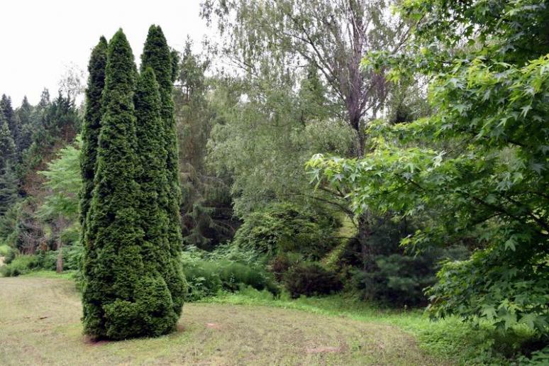 Budafapusztai arborétum