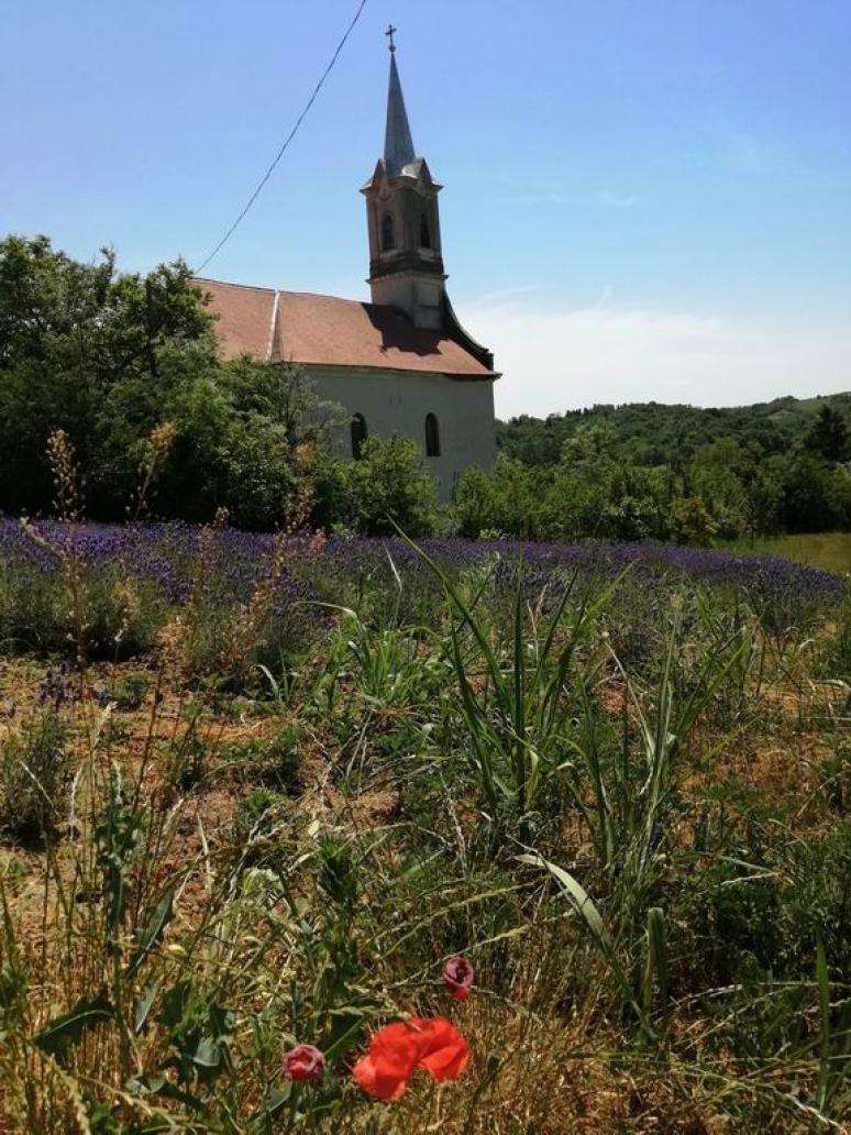 Szent György-templom