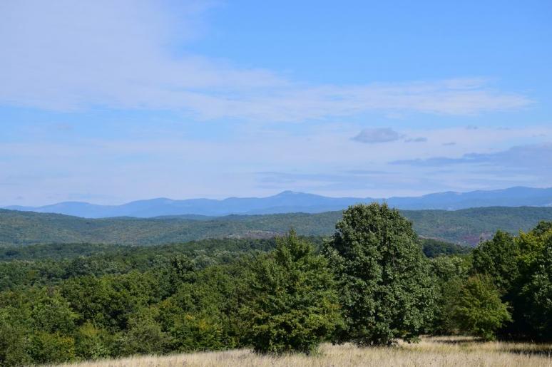 Kilátás a hegytetőről