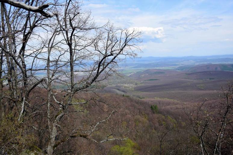 Szorospatak, Nagybátony